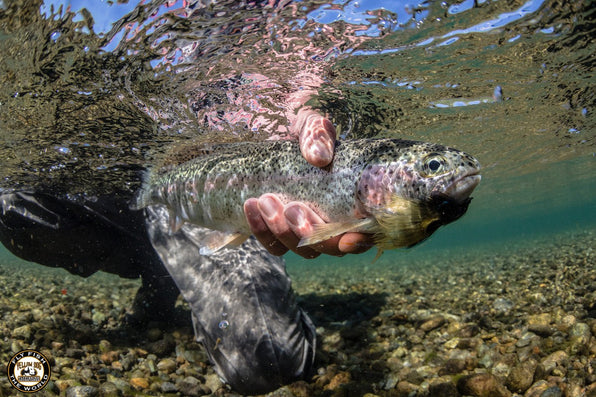 yellow-dog-flyfish 6 Best Alaska Fly Fishing Rivers You Need to Fish.