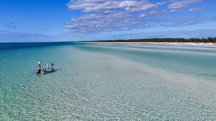 yellow-dog-flyfish 2025 McClean's Town Invitational Trip Report.