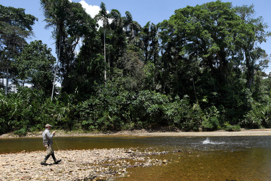 yellow-dog-flyfish REPORTING FROM TSIMANE.