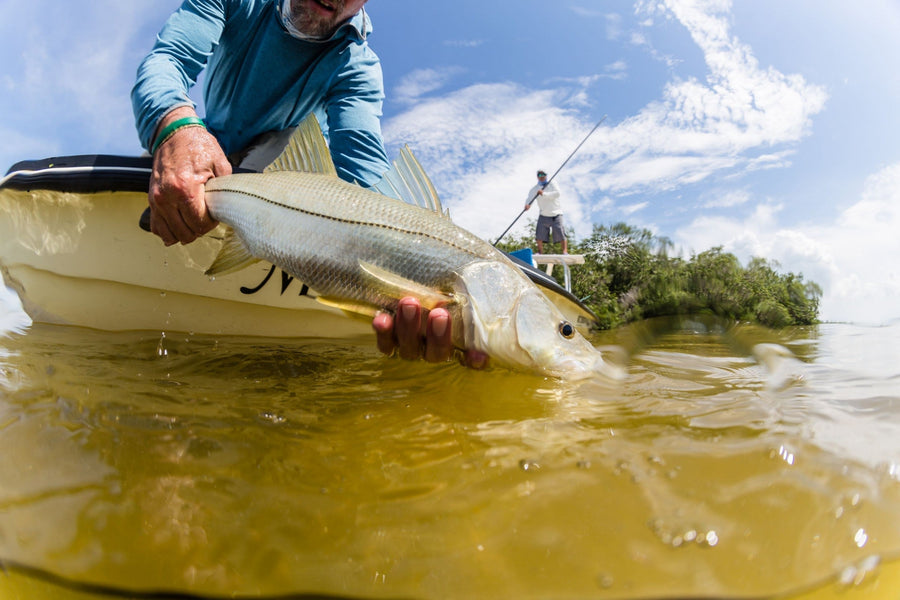 yellow-dog-flyfish The Best 7 Snook Flies For Fly Fishing.