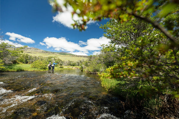 yellow-dog-flyfish The Ultimate Guide to Chile Fly Fishing.