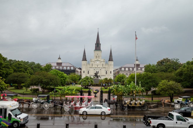 articles/gregson_yd_louisiana_bog_post-1_0-1_857a7ad3-8b10-4621-b9d9-e020afa25c36.jpg