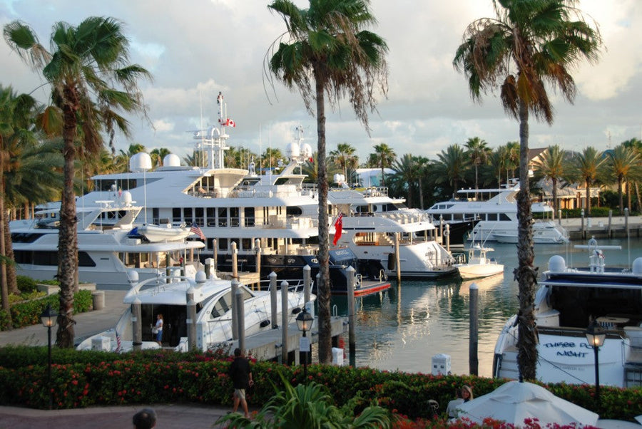 yellow-dog-flyfish THE YELLOW DOG GUIDE TO NASSAU.
