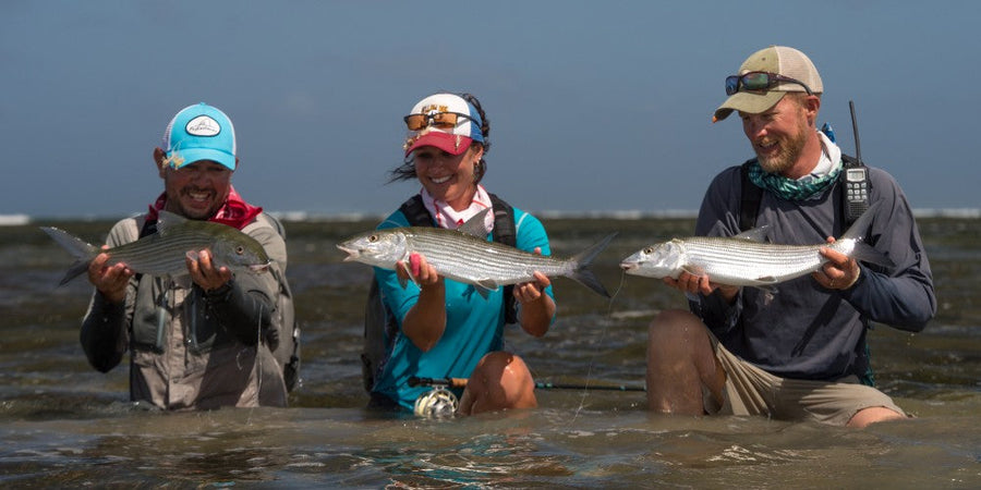 yellow-dog-flyfish THIS WEEKEND: THE GLOBAL PREMIERE OF PROVIDENCE.