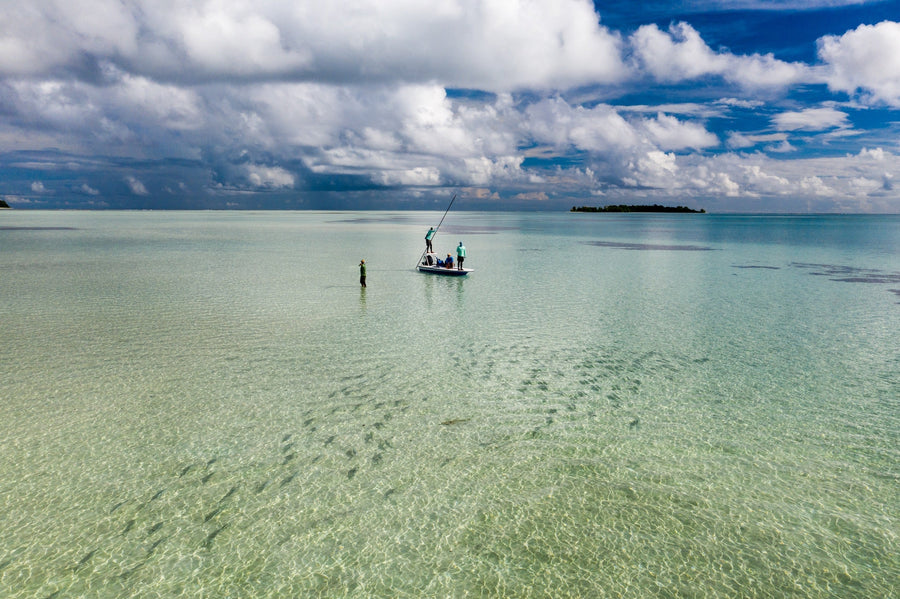 yellow-dog-flyfish Fly Fishing the World Year-Round: A Complete Month-to-Month Guide.