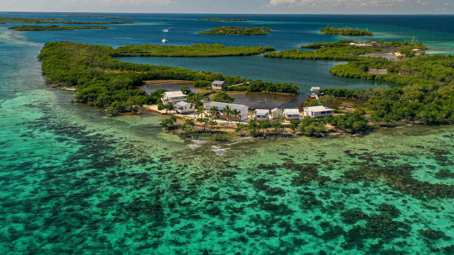 yellow-dog-flyfish Belize: Summer Sale at Blue Horizon Lodge.