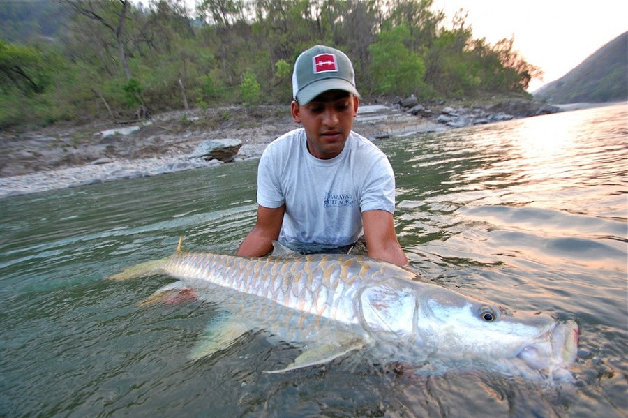 yellow-dog-flyfish BIG FISH MONDAY | GARGANTUAN GOLDEN MAHSEER.