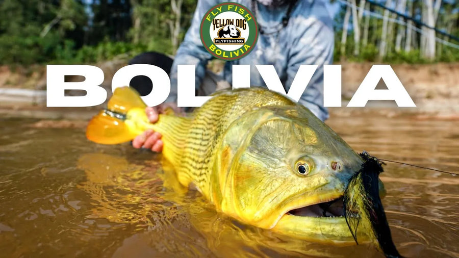 yellow-dog-flyfish Fly Fishing Bolivia - Yellow Dog Field Reports.