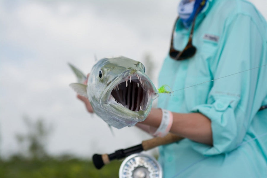 yellow-dog-flyfish ONE AWESOME MONTH AT LA PESCADORA LODGE.