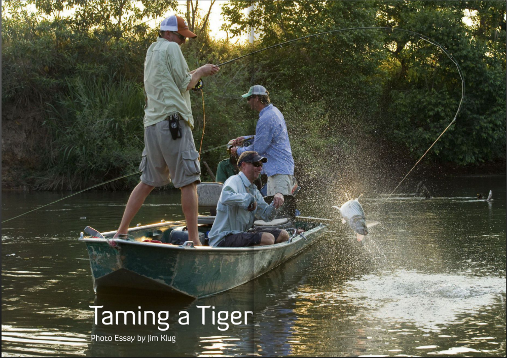 articles/taming_a_tiger_revive_photo_essay-1_5fb7df9a-d771-4bbe-aecf-8418b0da028e.png