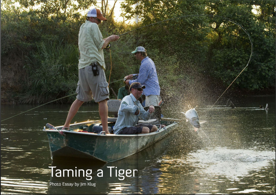 yellow-dog-flyfish “TAMING A TIGER” | A PHOTO ESSAY BY JIM KLUG PHOTOGRAPHY | REVIVE FLY FISHING.