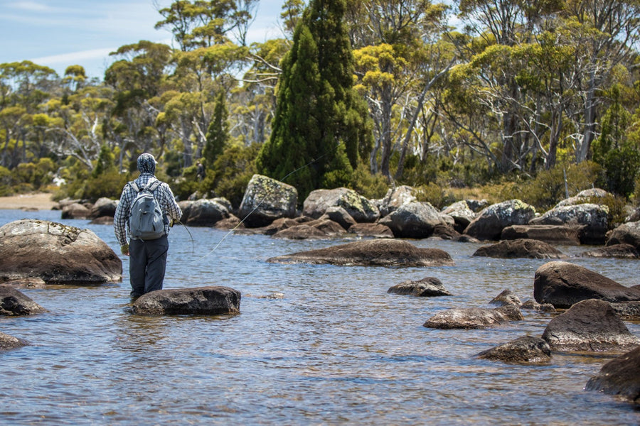 yellow-dog-flyfish Tasmania: When to Fish and How to Understand the Angling Seasons.