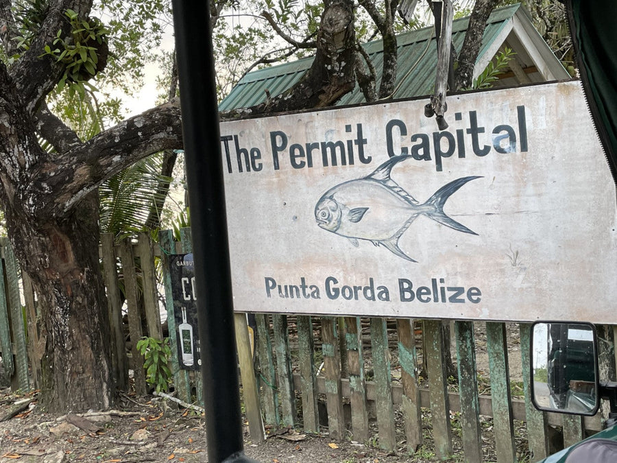 yellow-dog-flyfish Belize: Copal Tree Lodge Trip Report February 2021.
