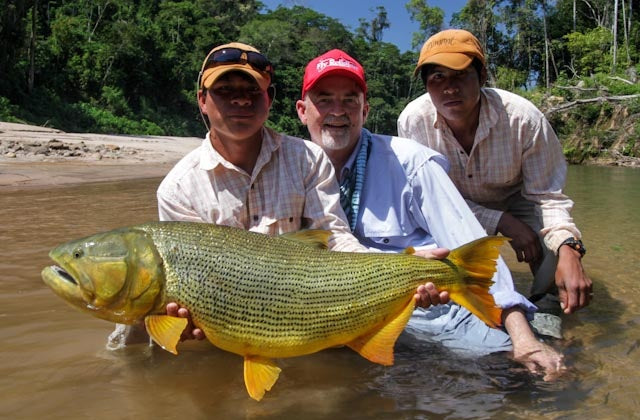 yellow-dog-flyfish BOLIVIA GOLDEN DORADO | QUICK REPORT.