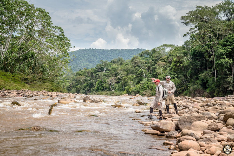 yellow-dog-flyfish Bolivia: Pluma, Secure and Agua Negra Client Testimonials and Reports.
