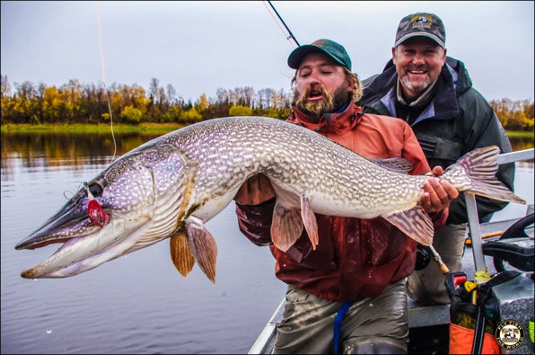 The Best 15 Pike Fly Fishing Patterns