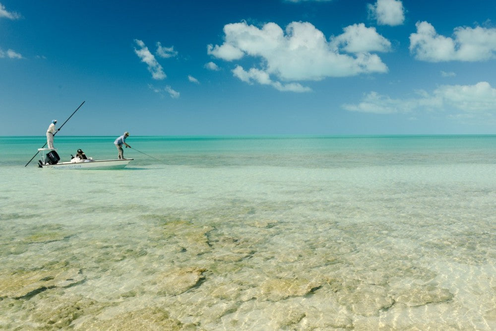 articles/yellow-dog-flyfishing-adventures-bahamas-bonefish-flats-fishing-mangrove-cay-club-19_1-1_566e25fb-4952-4b1f-a50f-77bbe57acda2.jpg