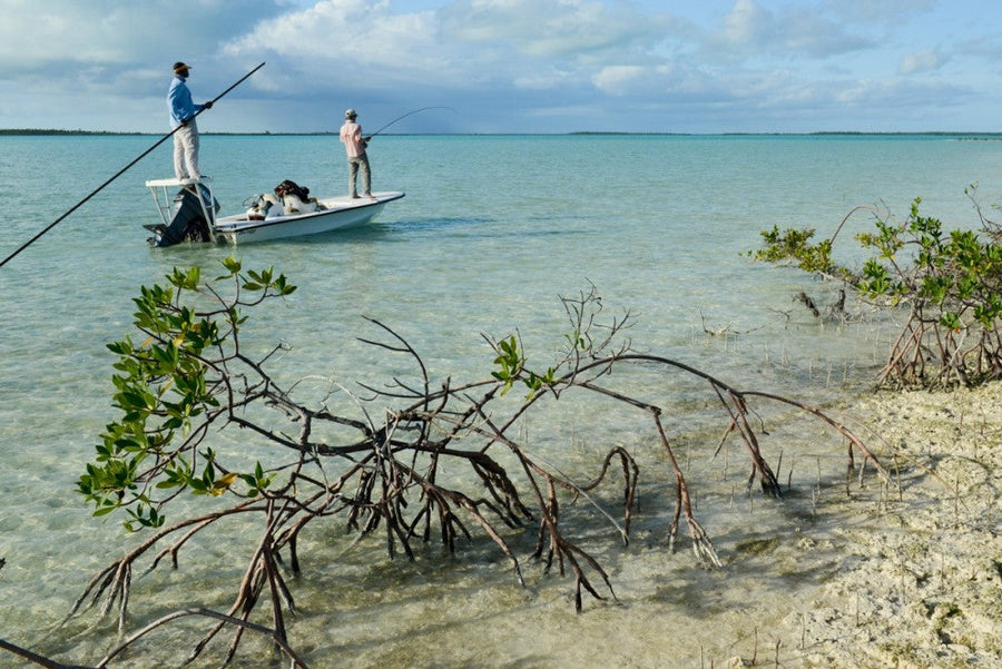 yellow-dog-flyfish CLIENT REPORT: BIRTHDAY BONEFISH.