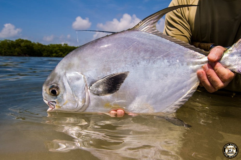 articles/yellow-dog-flyfishing-adventures-belize-flats-fly-fishing-bonefish-tarpon-permit-turneffe-flats-16-1_b459353e-6db1-46b1-8b3e-faf880110b6b.jpg