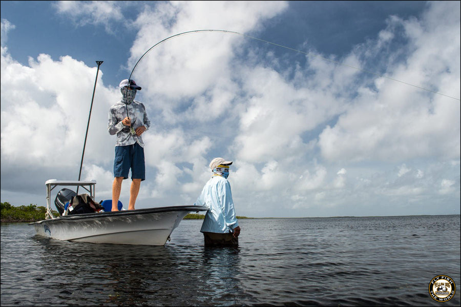 yellow-dog-flyfish Belize: Turneffe Flats Availability.