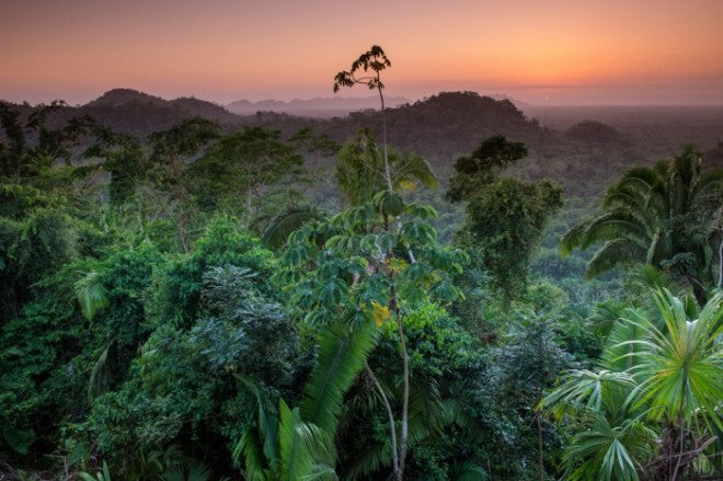 yellow-dog-flyfish YELLOW DOG DESTINATIONS IN THE WASHINGTON POST.