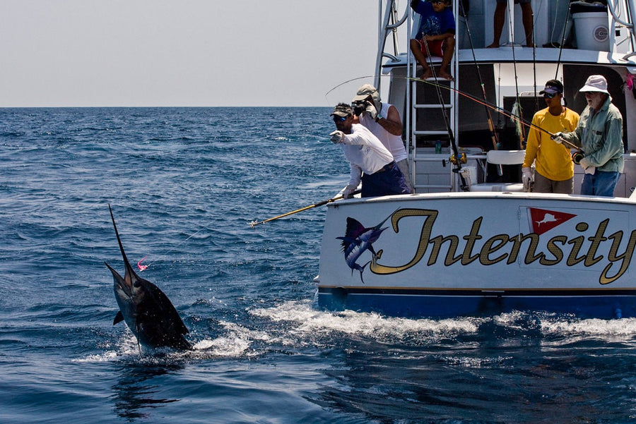 yellow-dog-flyfish Guatemala Billfishing Special.