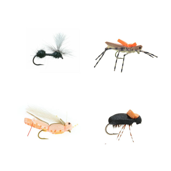 Terrestrial Flies