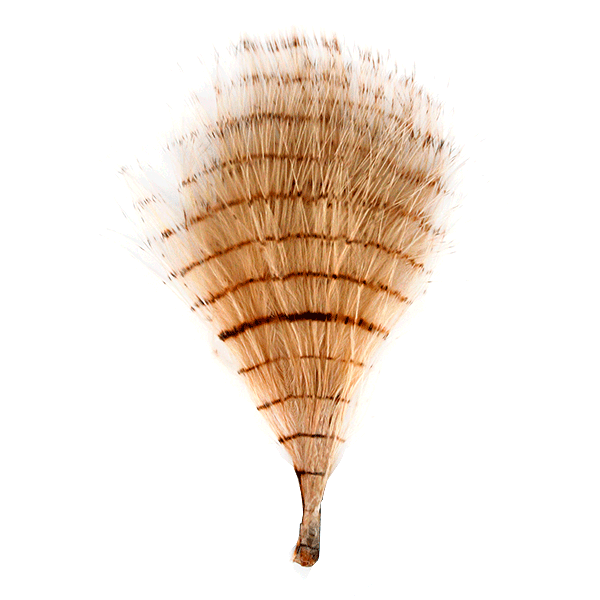 MFC Fine Barred Marabou