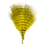 MFC Fine Barred Marabou