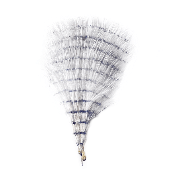MFC Fine Barred Marabou