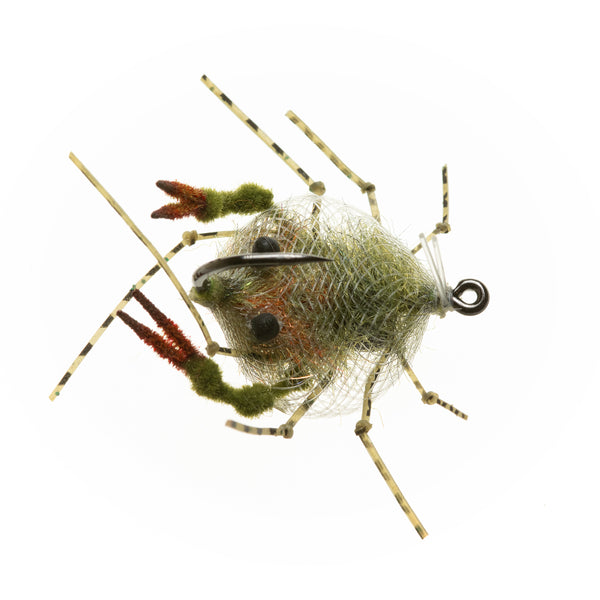 EP Descendent Crab - Olive - Size 1