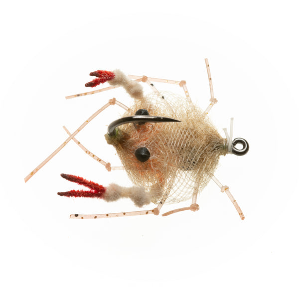 EP Descendent Crab - Tan - Size 1