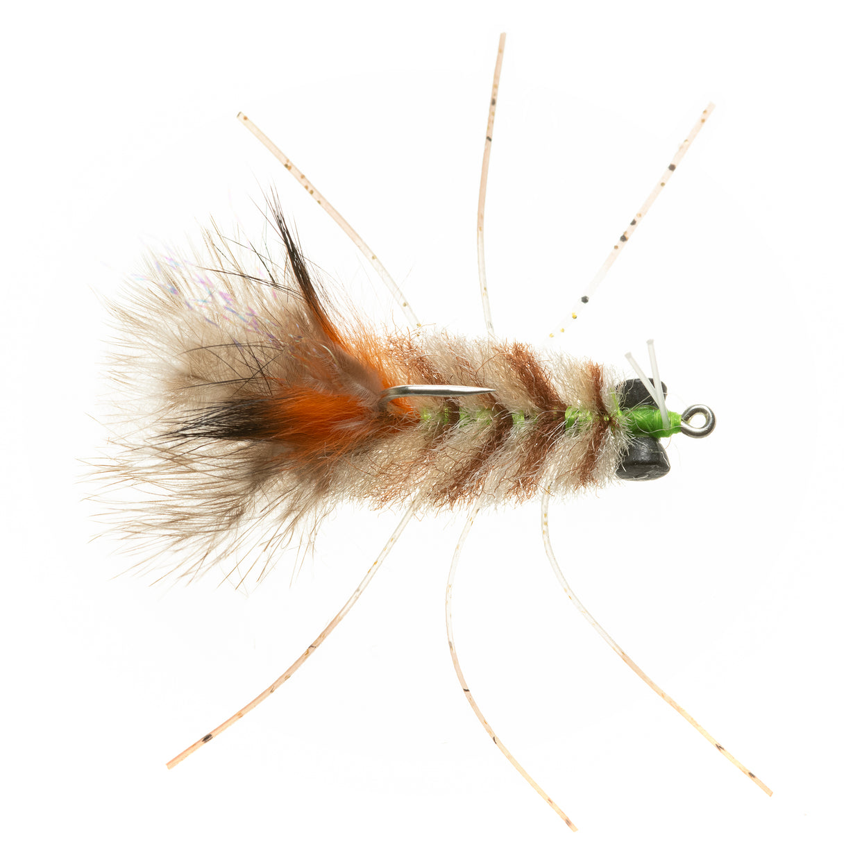 Permit Crab - 3-Tone - Size 1