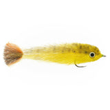 EP Baby Dorado - Size 4/0