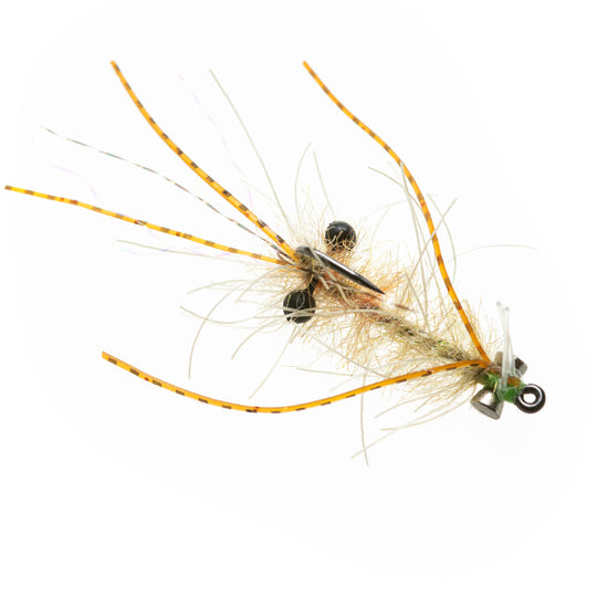 EP Ascension Bay Mantis - Presentation Lead Eyes