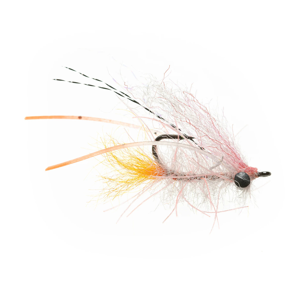 EP Bahamas Shrimp - Lead Eye