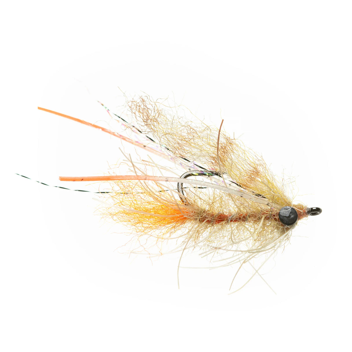 EP Bahamas Shrimp - Lead Eye