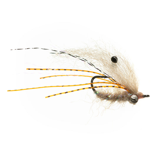 EP Ghost Shrimp - Tan - Presentation Lead Eyes