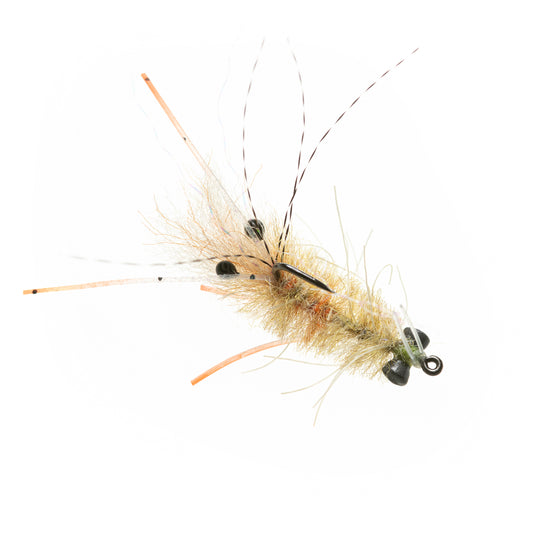 EP Mantis Shrimp - Tan - Presentation Lead Eyes