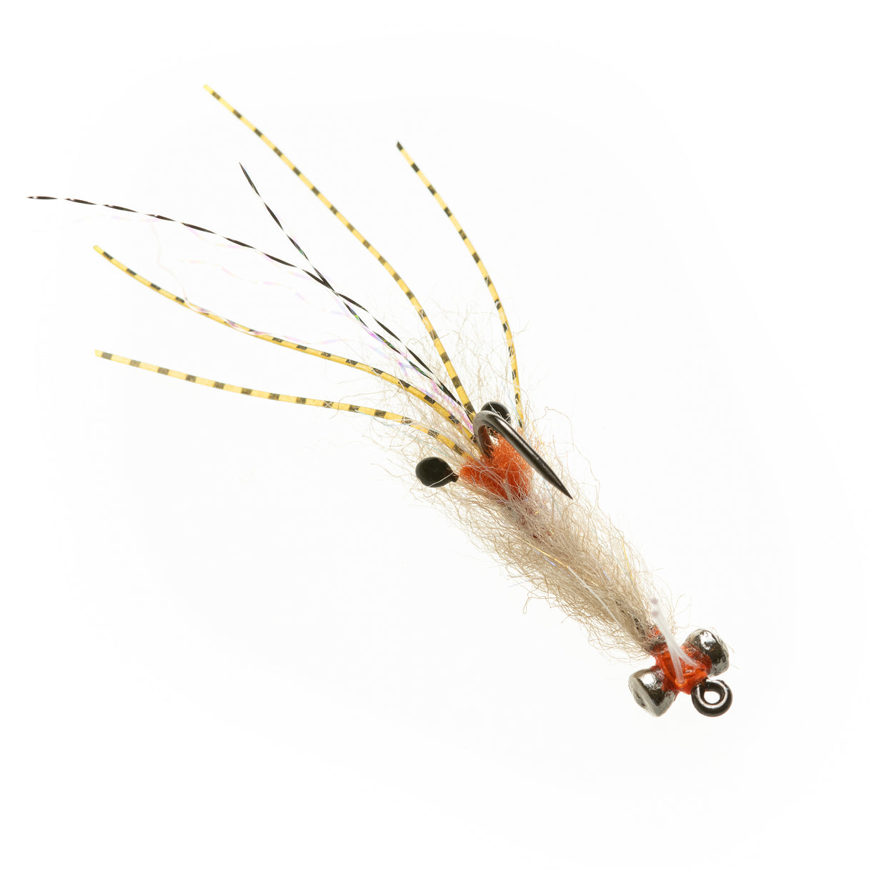 EP Spawning Shrimp (Presentation Lead) - Tan