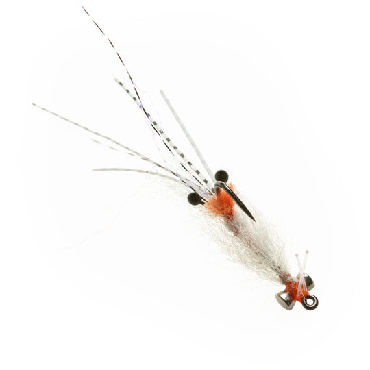 EP Spawning Shrimp - Presentation Lead Eyes