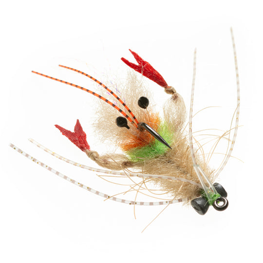 EP Scampi - Presentation Lead Eyes