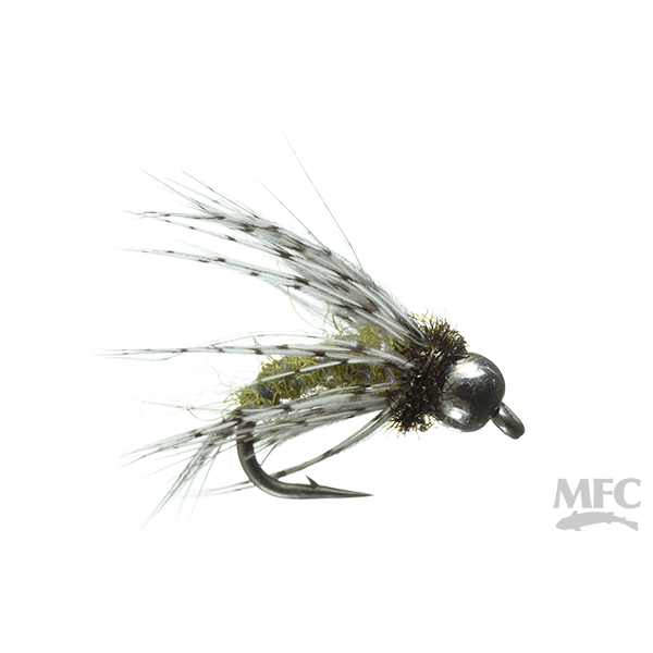 Anderson's Bird of Prey - Olive - Size 16