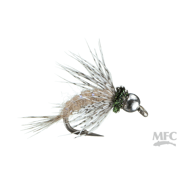 Anderson's Bird of Prey - Tan - Size 16