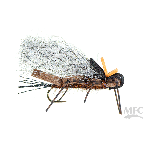 Montana Fly Company Fool's Gold - Salmonfly - Size 8.