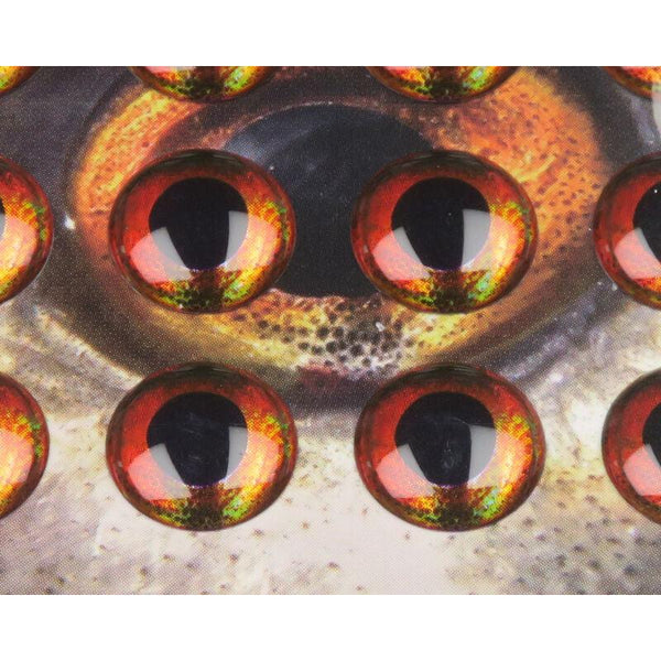 Fish Skull Living Eyes