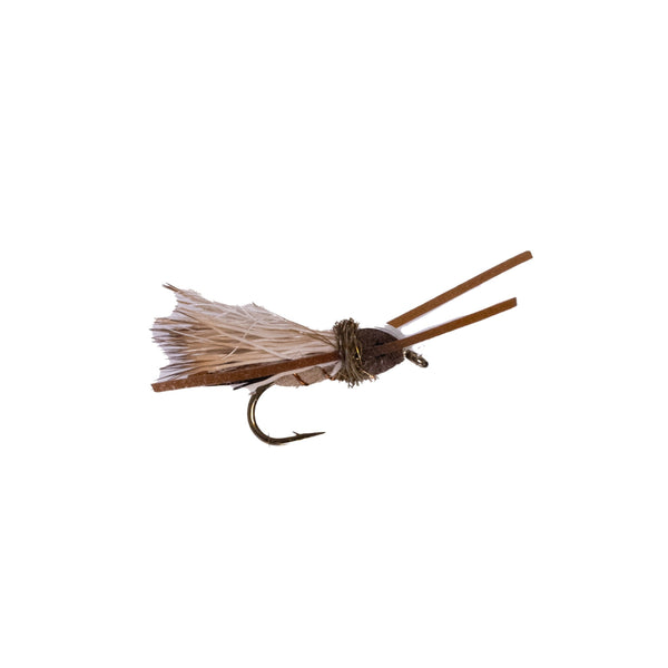 Delektable Twisted Baby - Tan/Brown