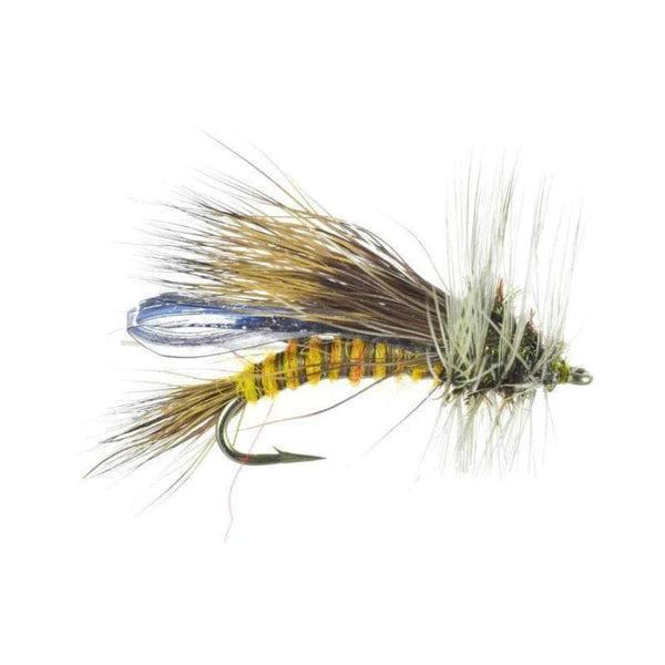 Little Olive Stone - Skwala - Size 12