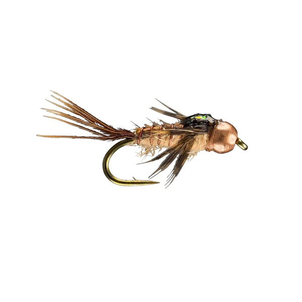 RIO's Hogan Clinger - Amber - Size 14