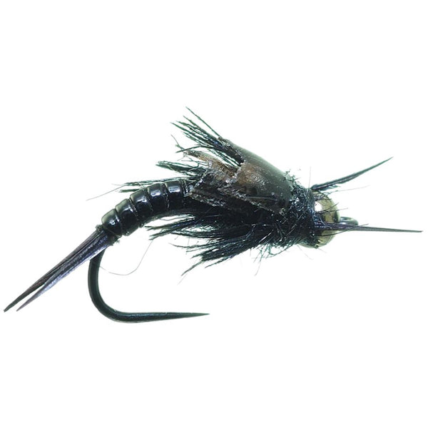 Little Black Sloan - Size 14